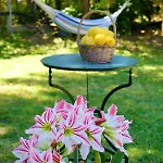 Amarynthos Beachfront With Garden Vatheia