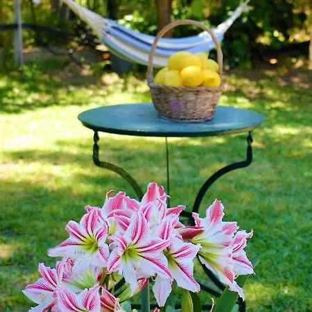 Amarynthos Beachfront With Garden Vatheia