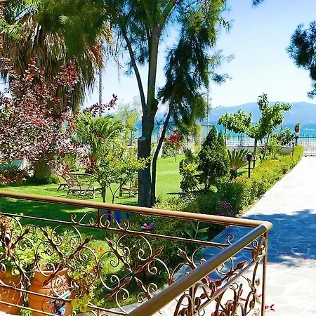 Holiday home Amarynthos Beachfront With Garden