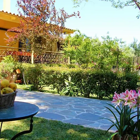 Amarynthos Beachfront With Garden Vatheia